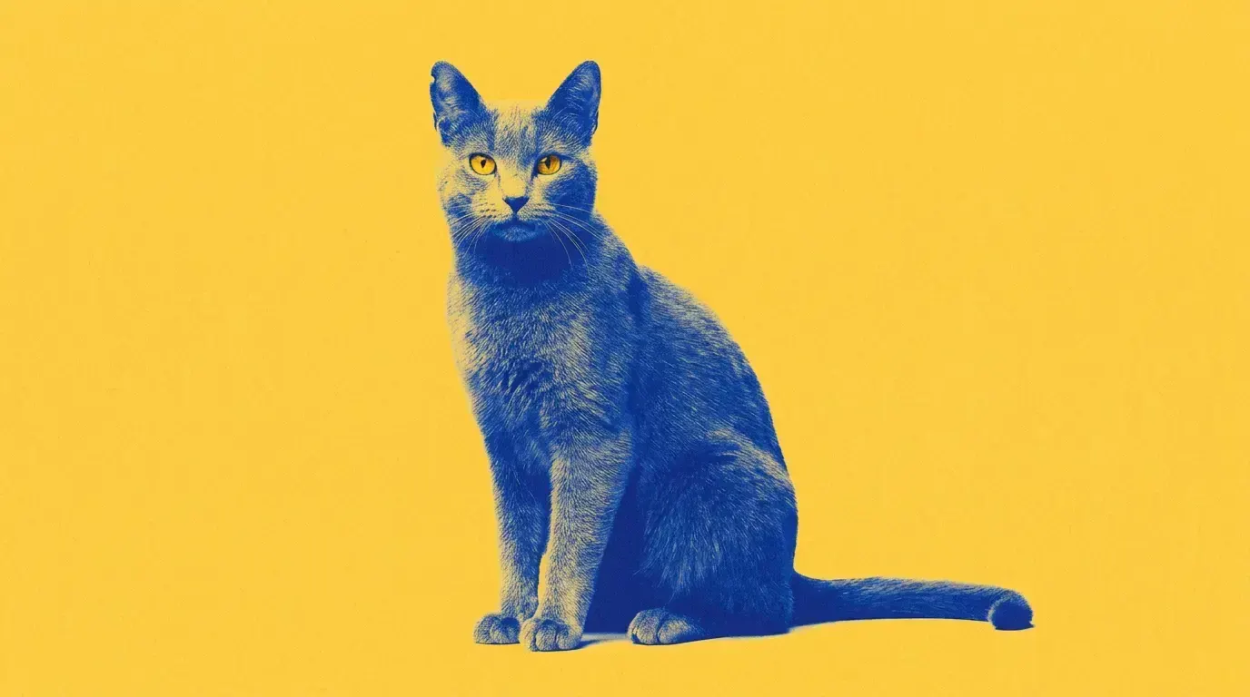 duotone:, пример 1