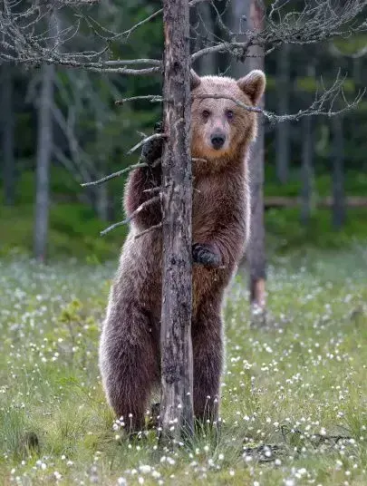 behind, пример 1