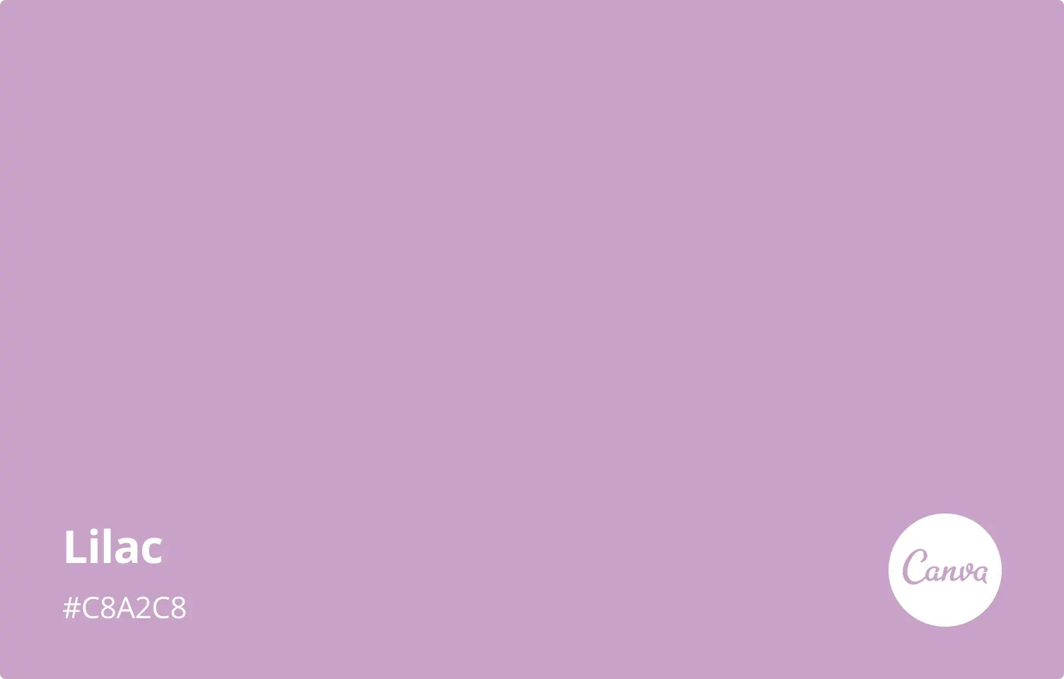 Lilac, пример 1