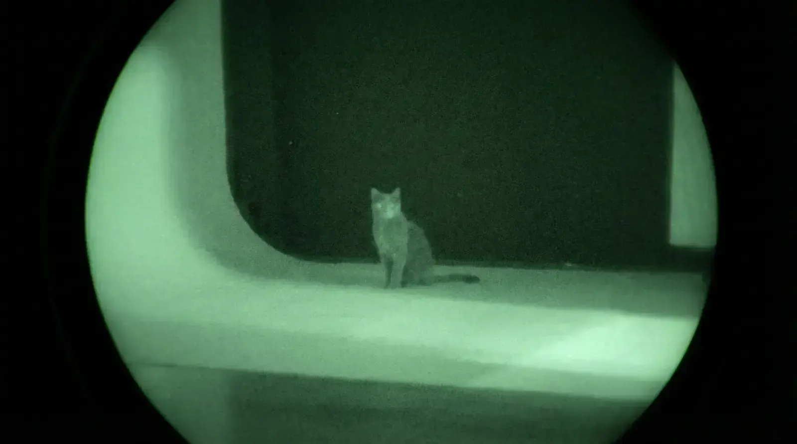 infrared night-vision, пример 1