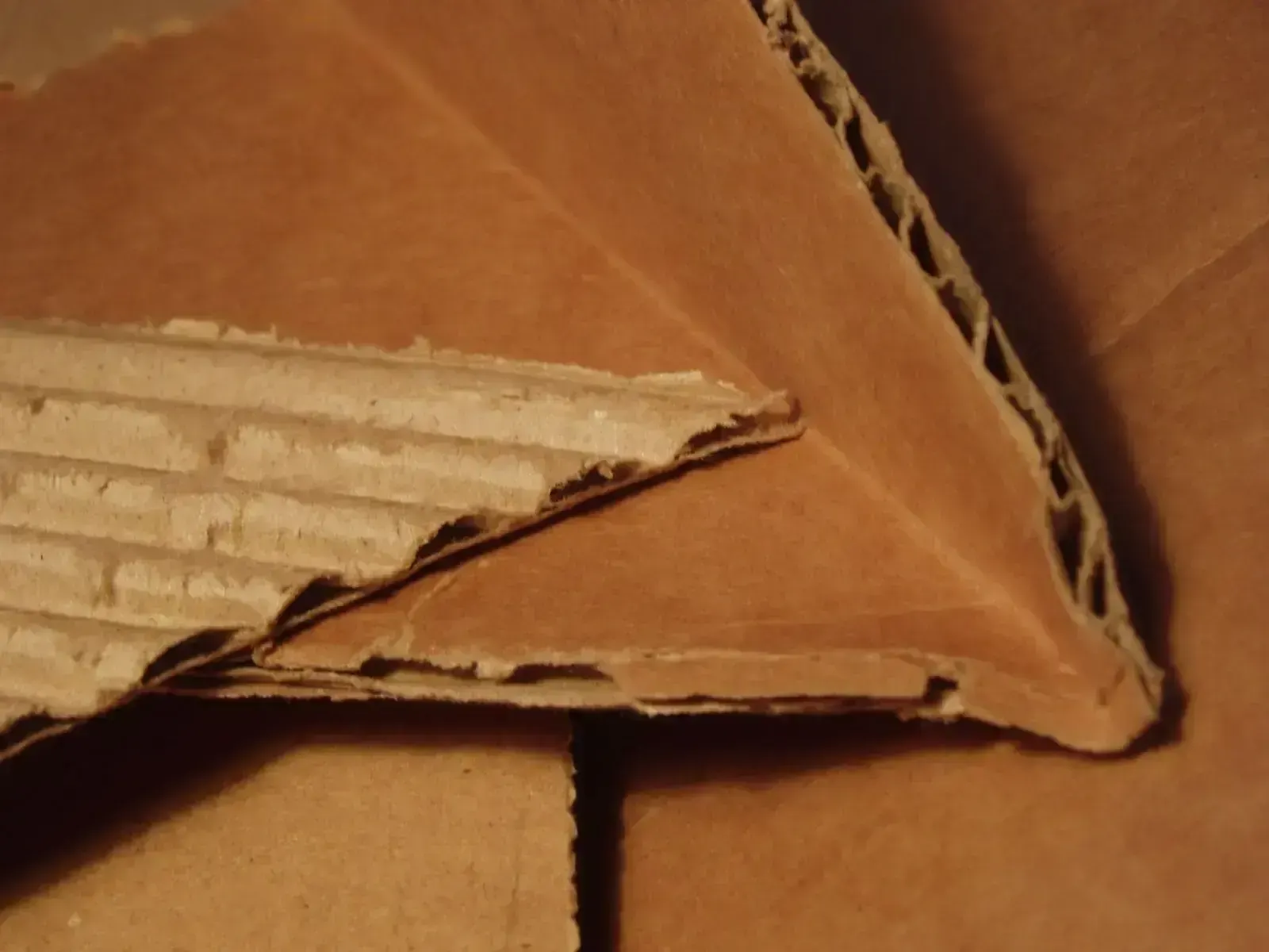 cardboard, пример 2