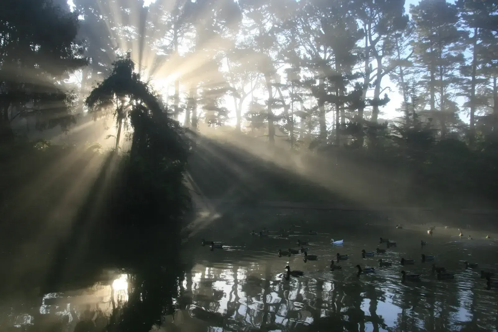 god rays, пример 2