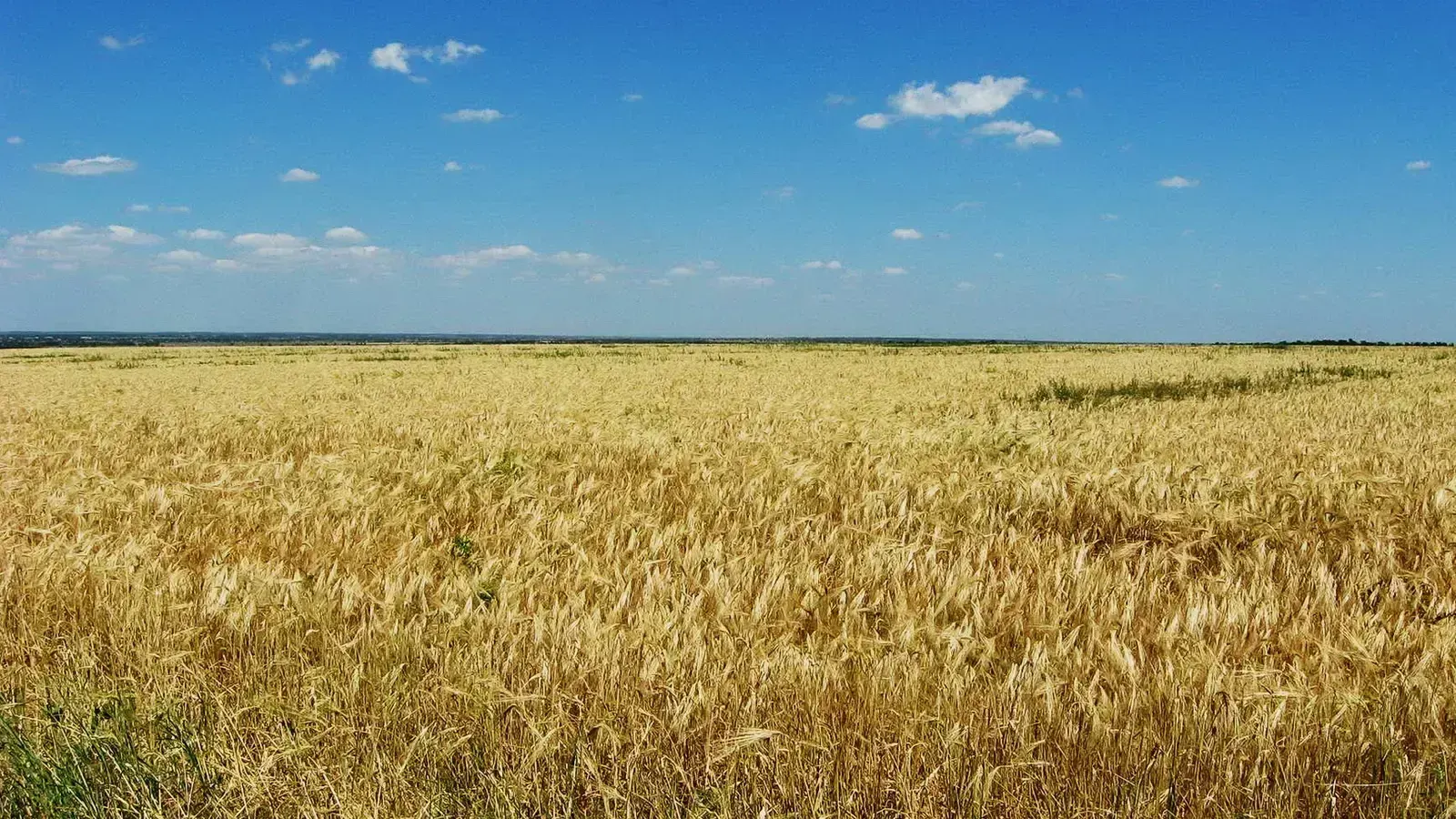 field, пример 2