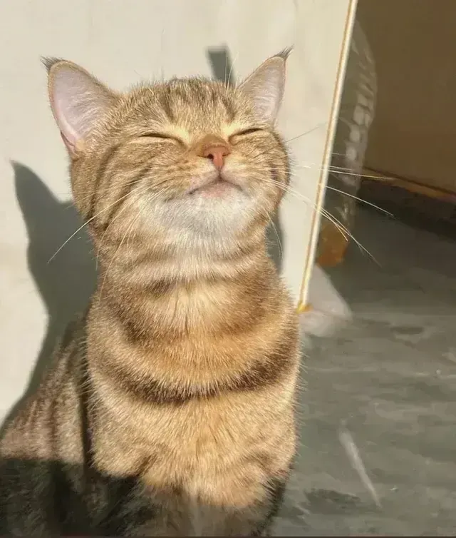 sunlight, пример 3