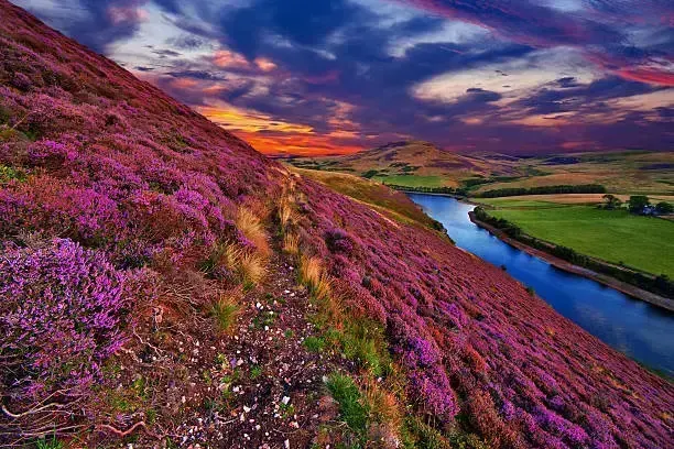 Vibrant color, пример 2