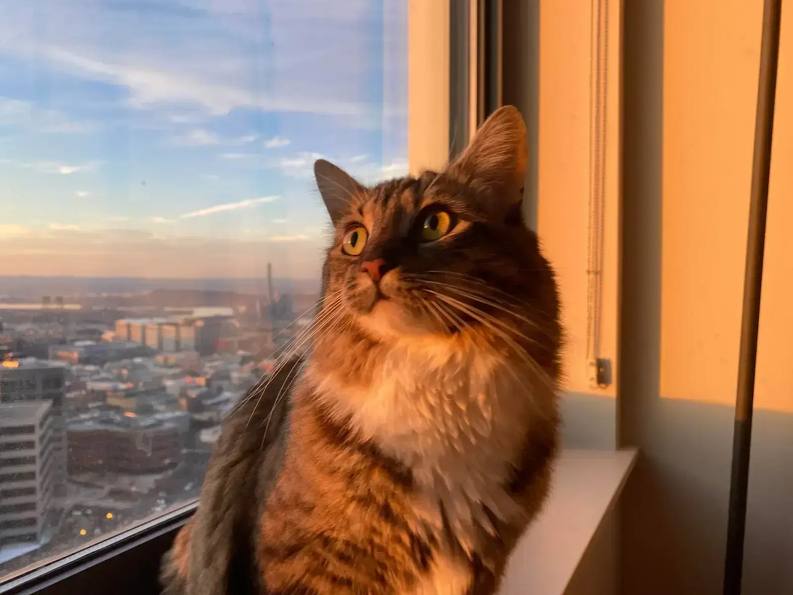Golden Hour Light, пример 5