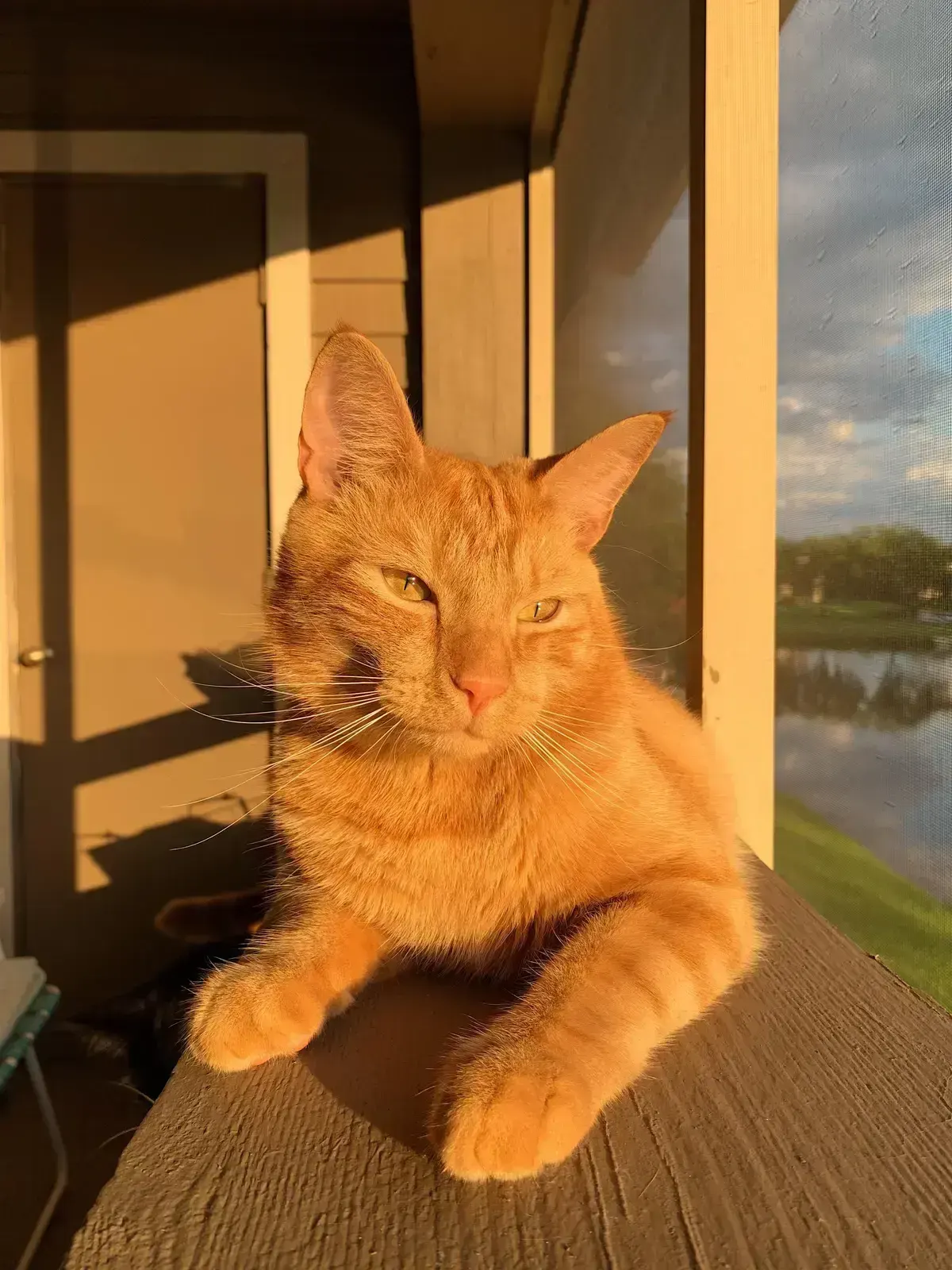 Golden Hour Light, пример 6