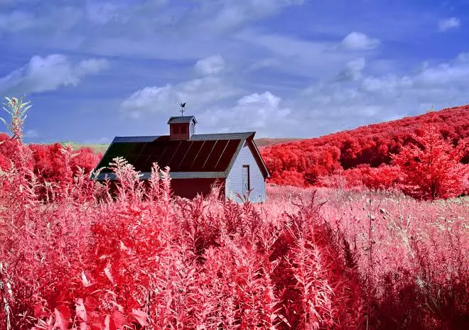 Aerochrome, пример 4