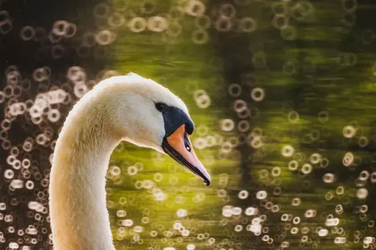 Donut bokeh, пример 4