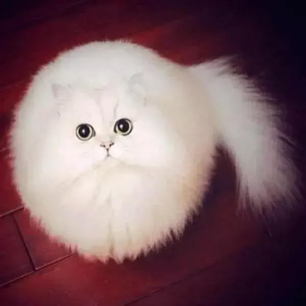 round, пример 2