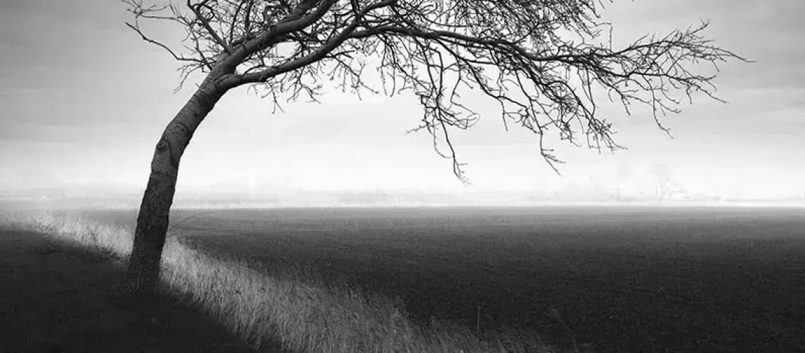 black and white, пример 5