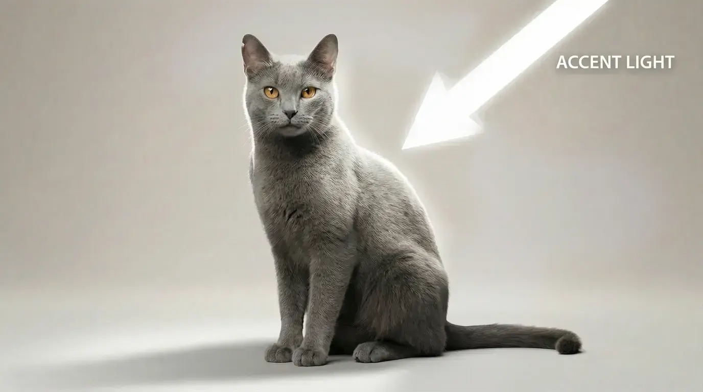 Accent light, пример 1