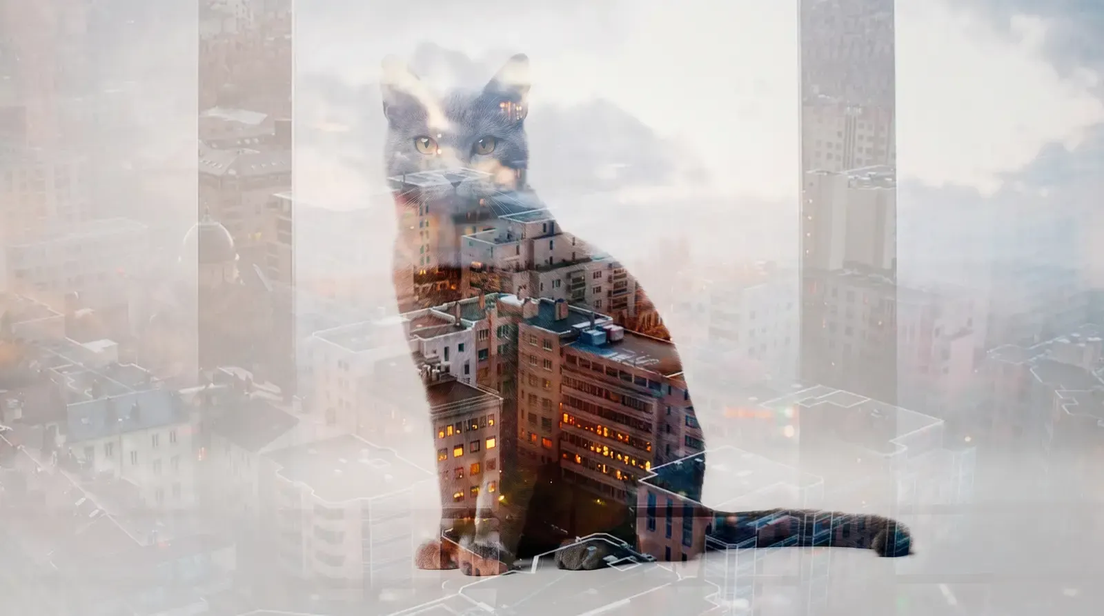 Double exposure, пример 1