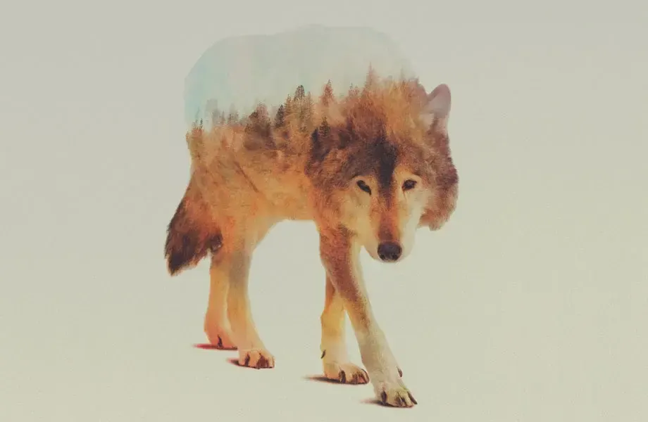 Double exposure, пример 3