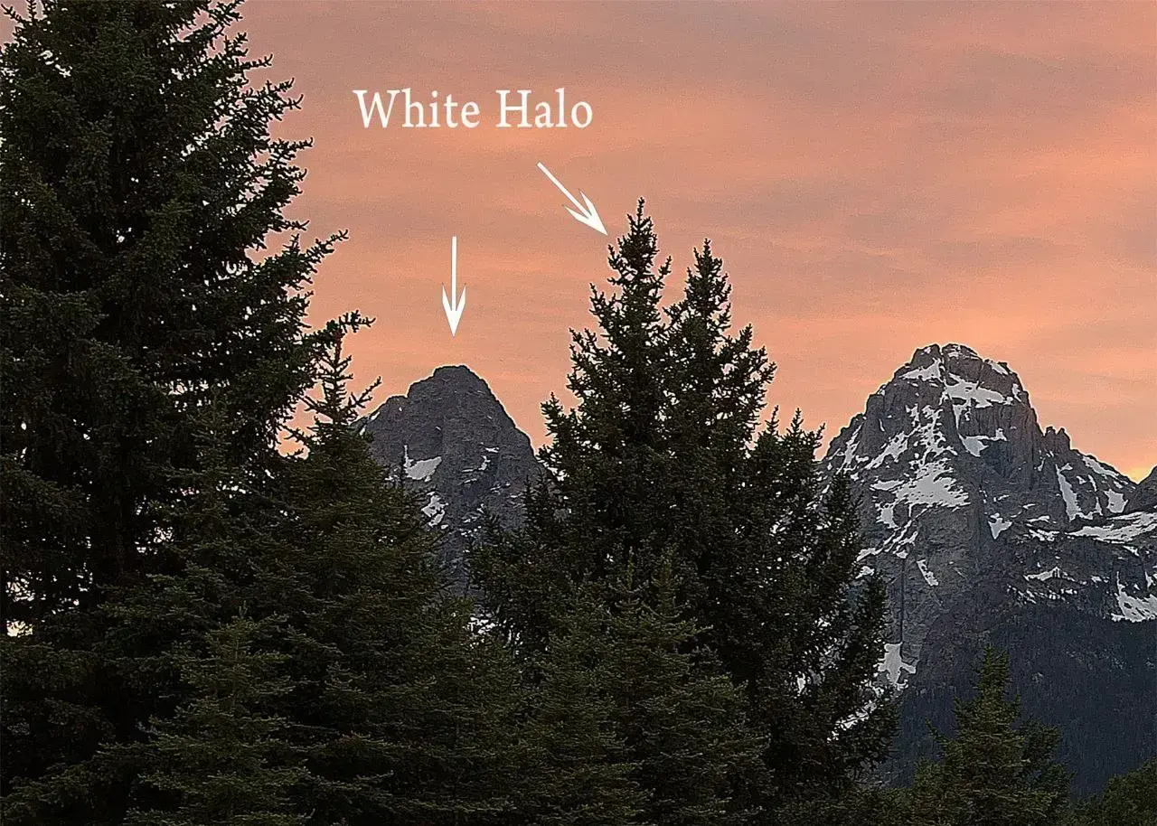 Over-sharpening halos, пример 2