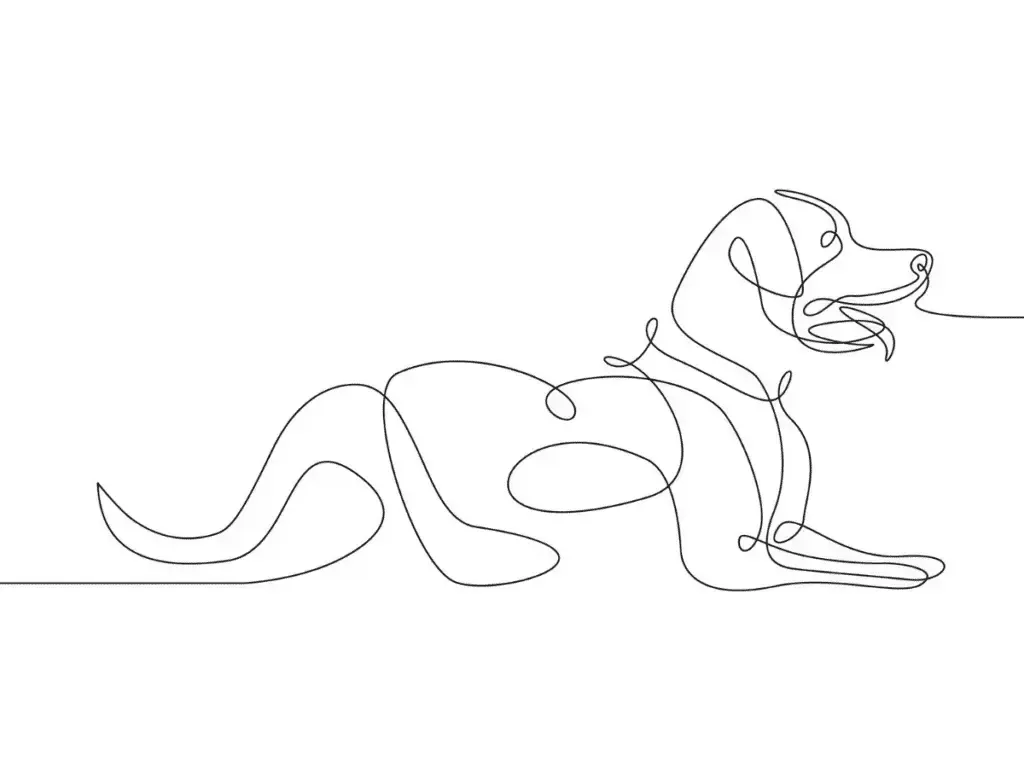 Continuous line, пример 3