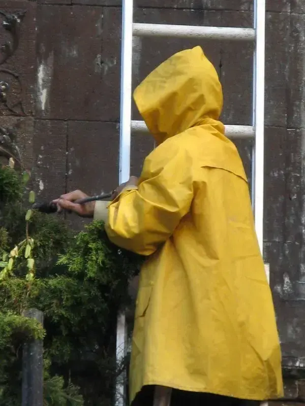 Raincoat, пример 2