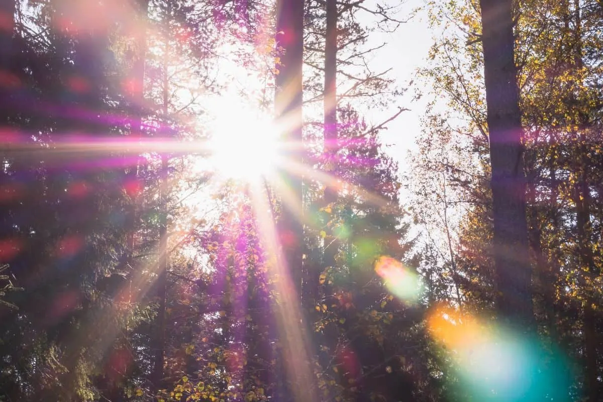 sun flare, пример 2