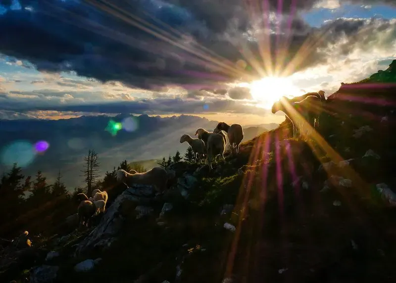 sun flare, пример 3