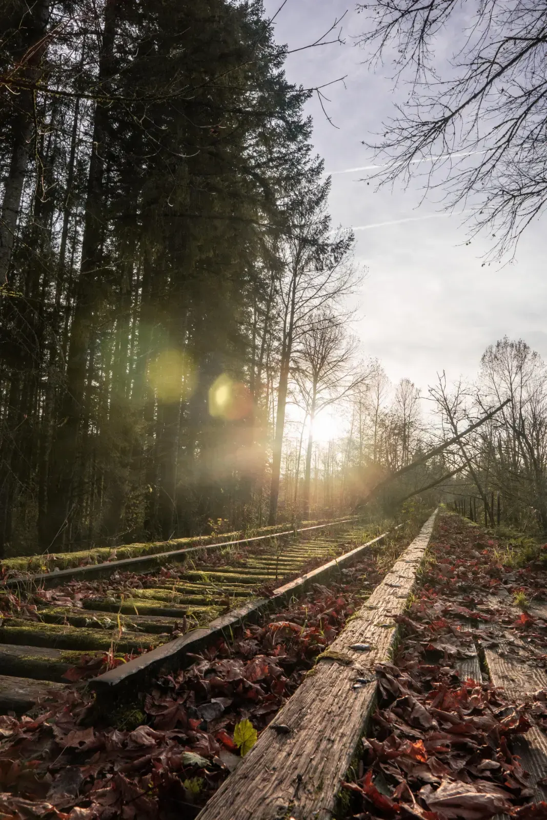 sun flare, пример 4