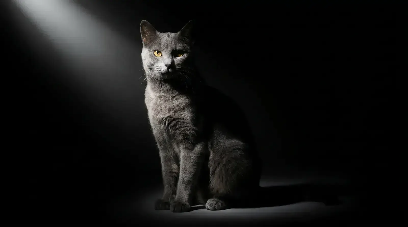 Tenebrism light, пример 1