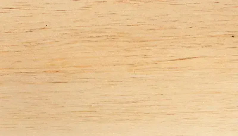 birch wood, пример 2