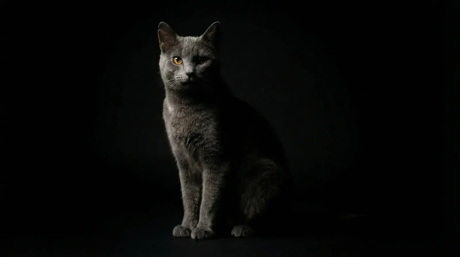 chiaroscuro, пример 1