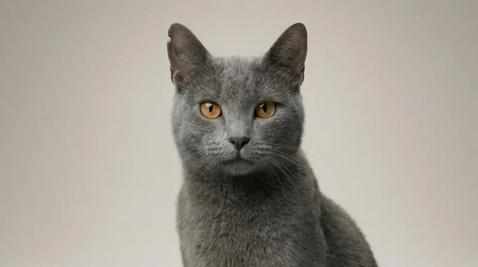 Portrait, пример 1