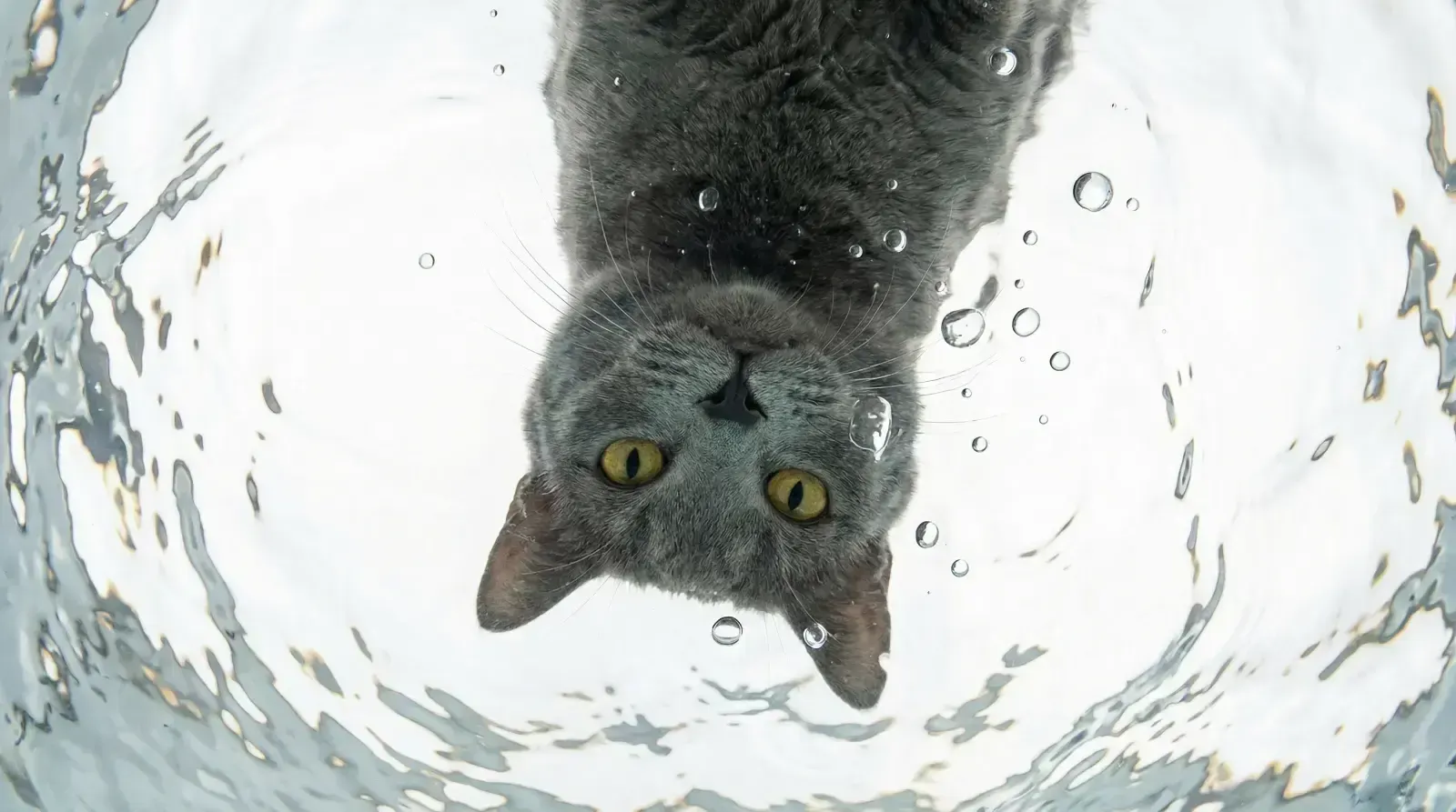 view through water, пример 1