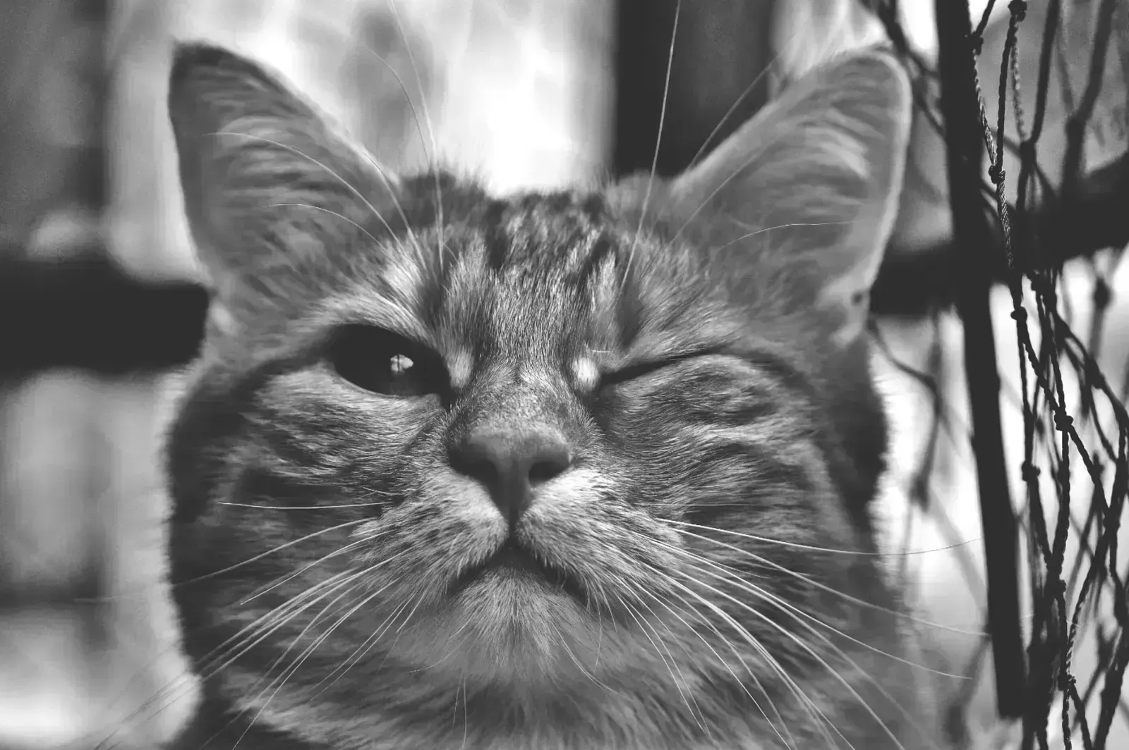 grayscale, пример 3