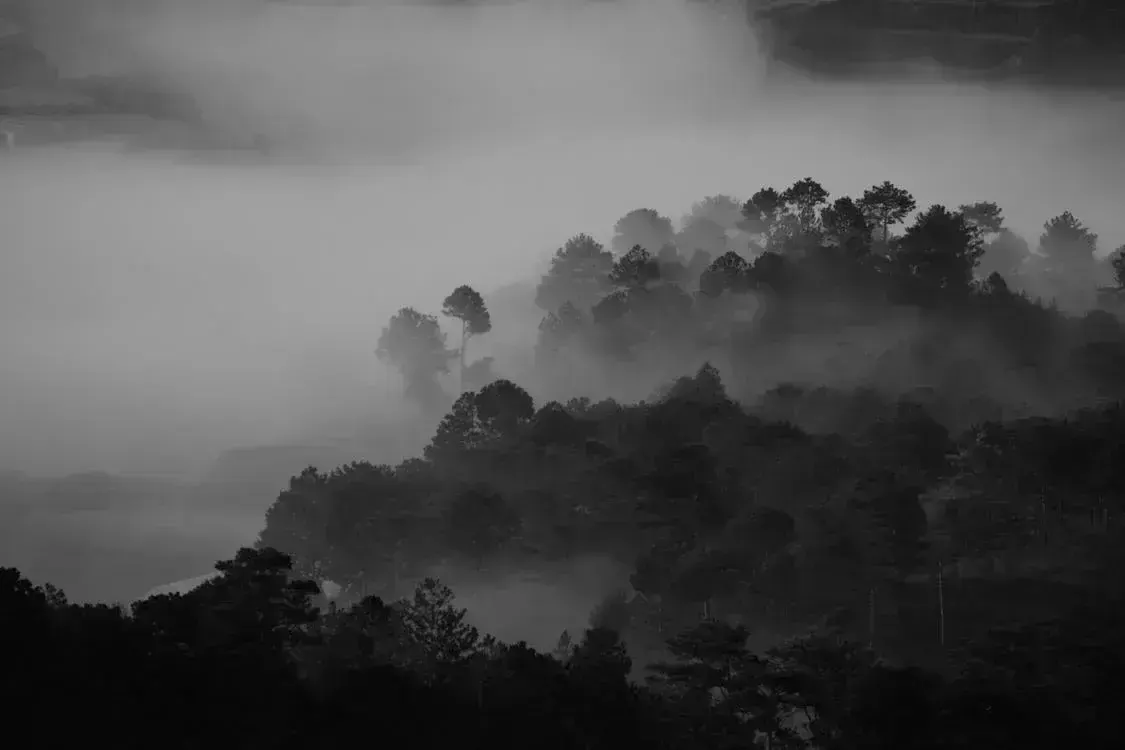 grayscale, пример 4