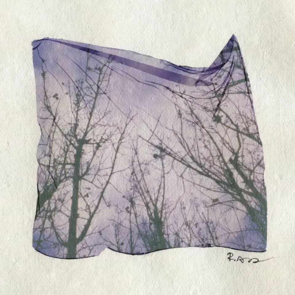 Emulsion lift, пример 2