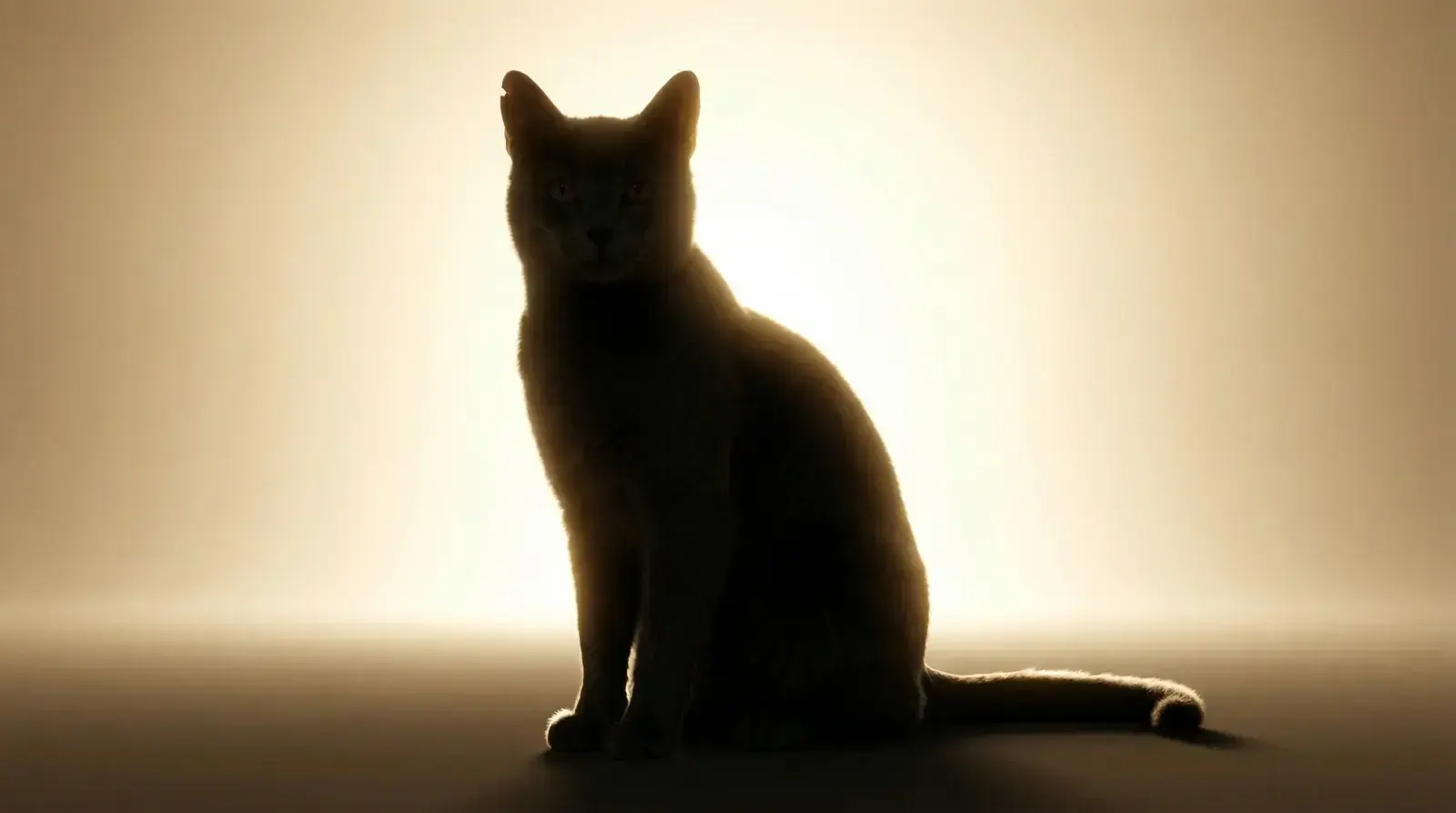 backlight, пример 1