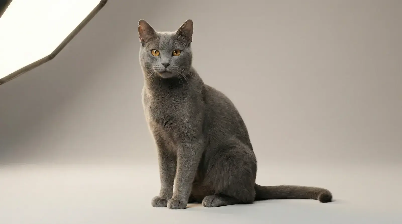 softbox light, пример 1
