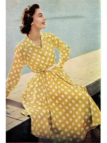 Shirt Dress, пример 2
