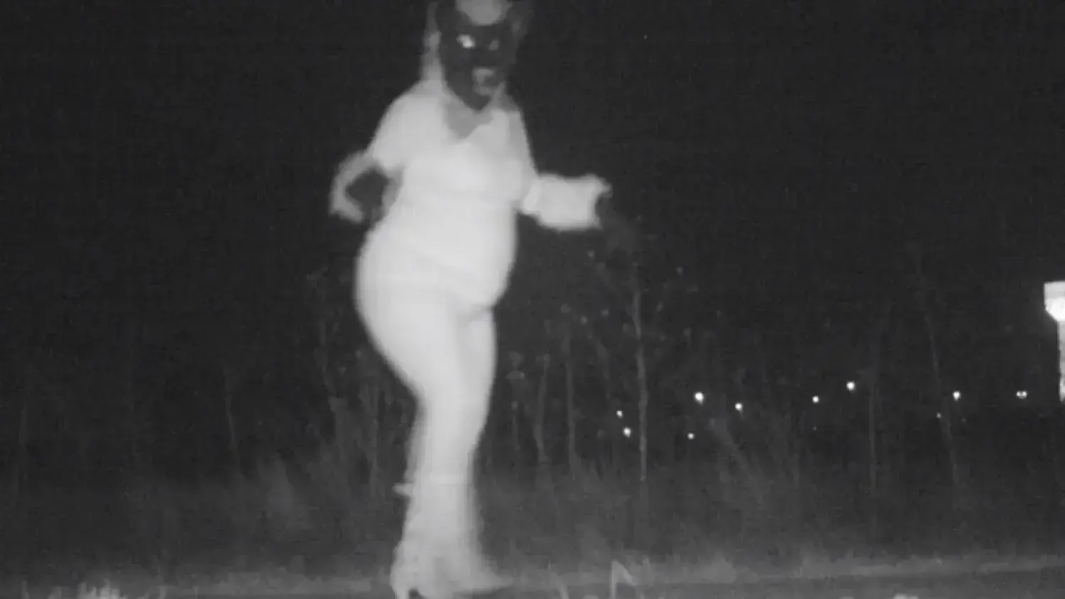 trail cam footage, пример 5