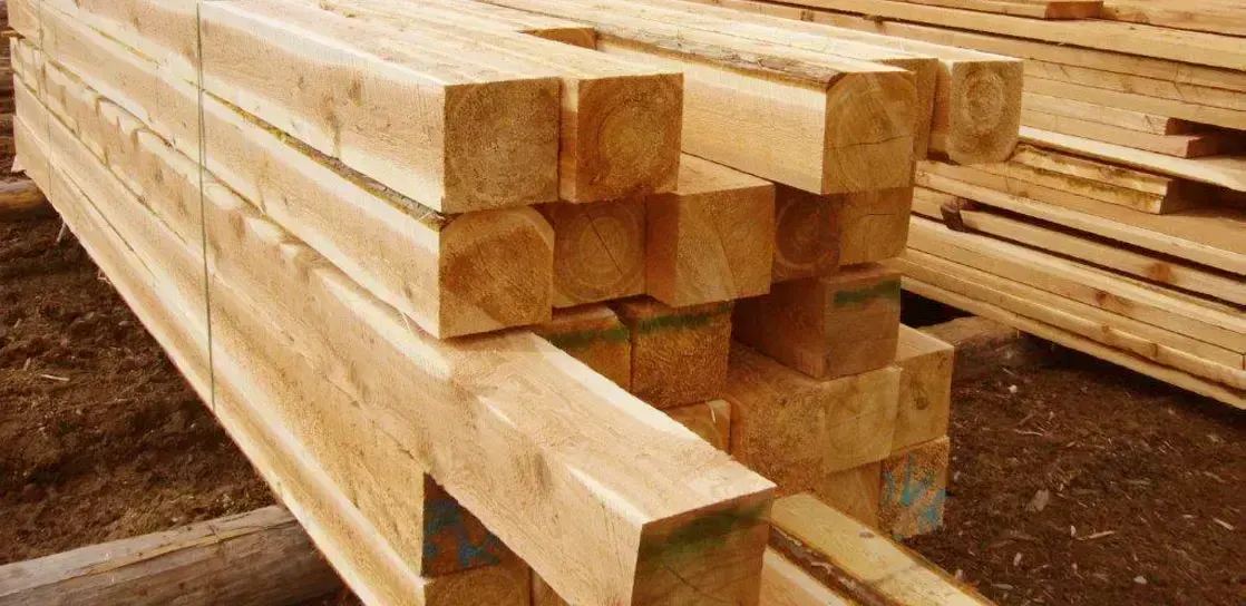 cedar wood, пример 4
