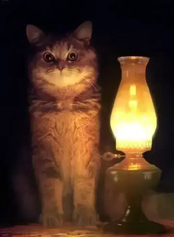 candlelight, пример 3