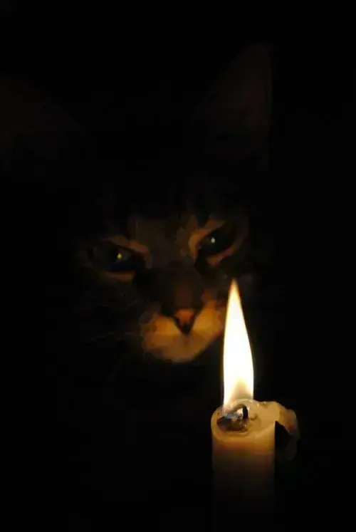 candlelight, пример 4