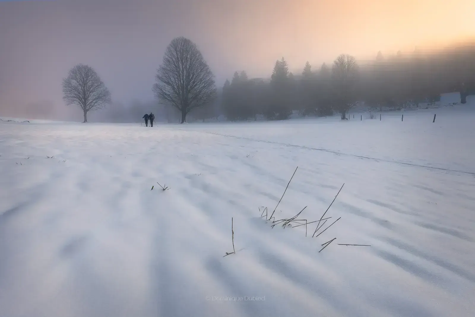 diffused light, пример 3