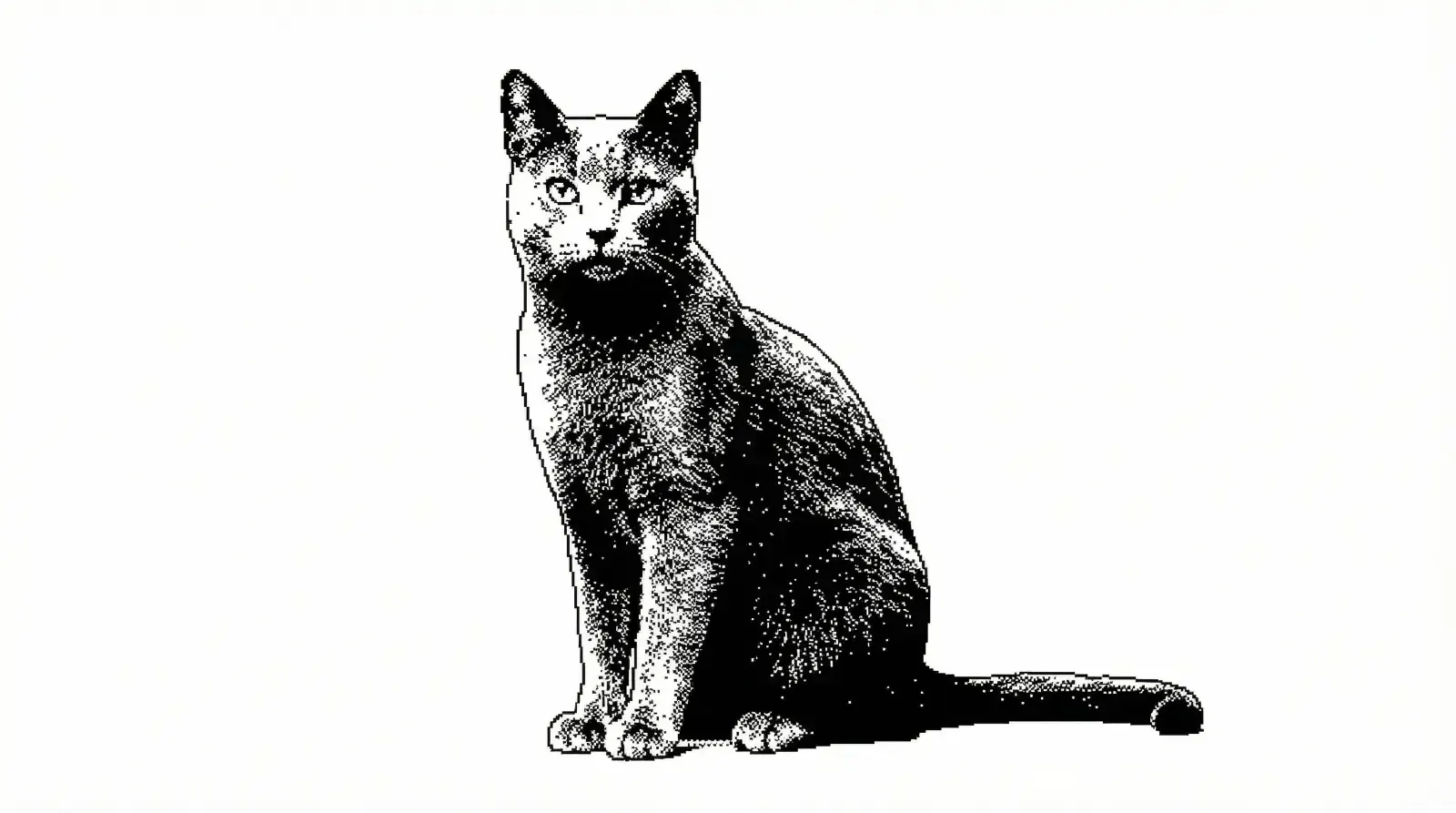 1-bit monochrome, пример 1