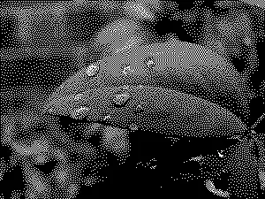 1-bit monochrome, пример 2
