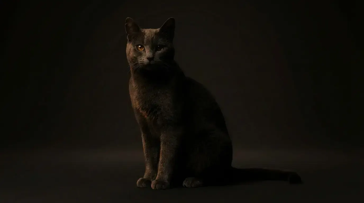 Dimly lit, пример 1