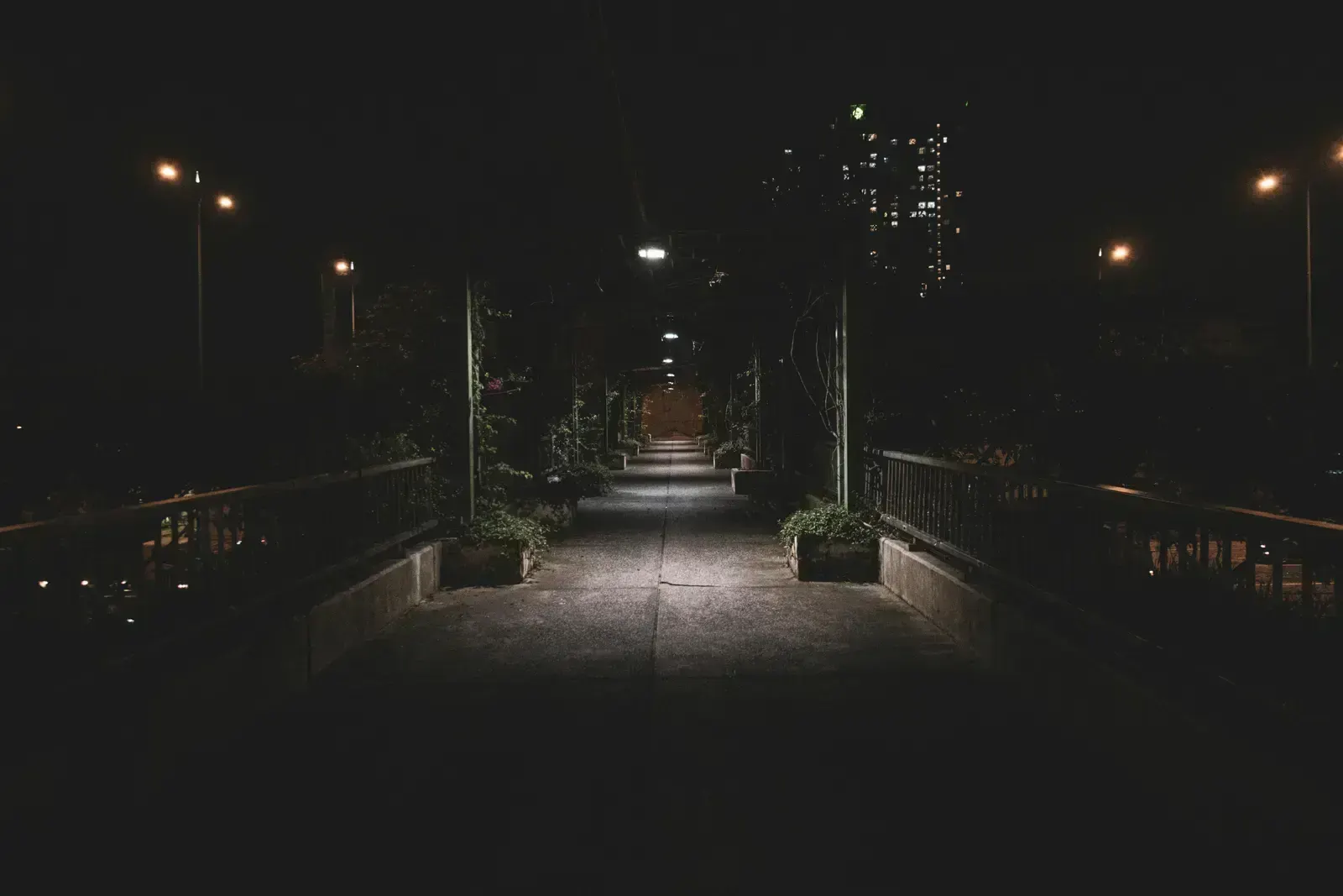 Dimly lit, пример 6