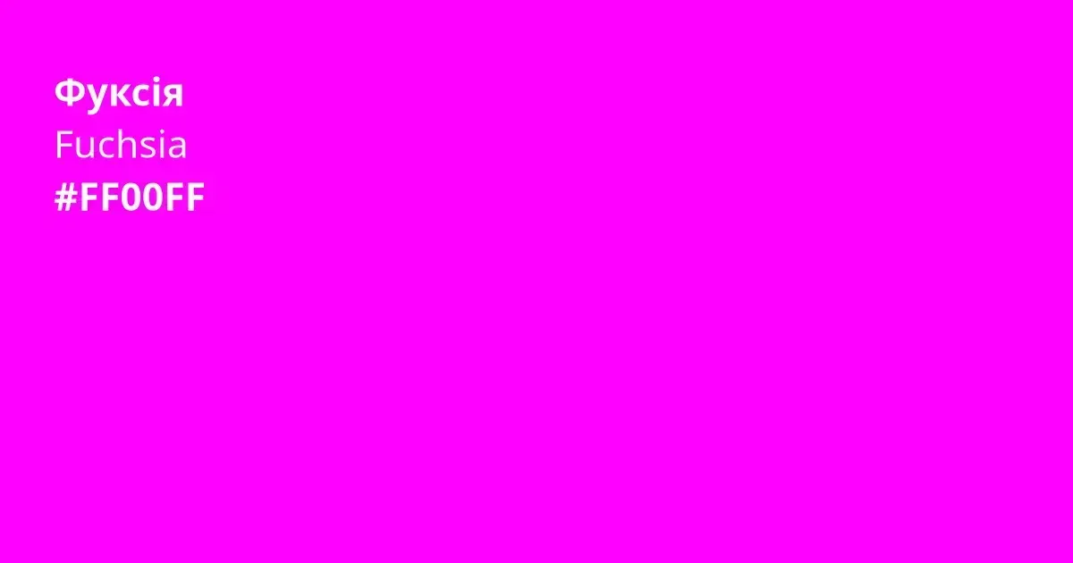 Fuchsia, пример 1