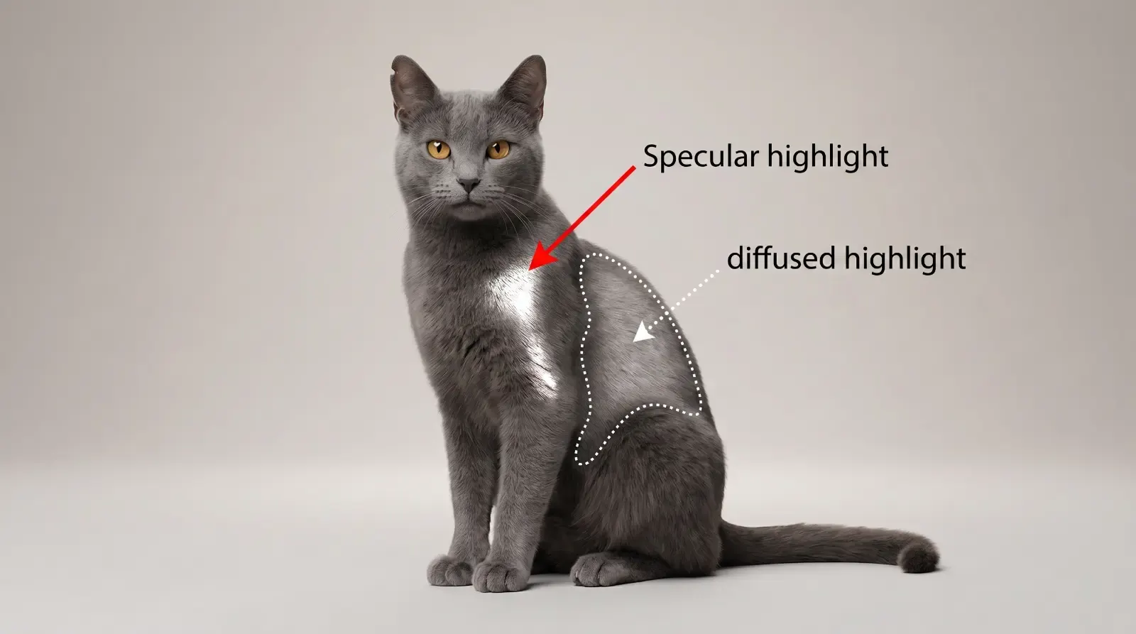 Specular highlights, пример 1