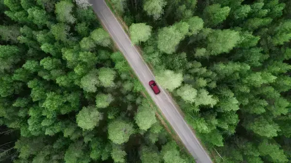 bird's-eye view, пример 2