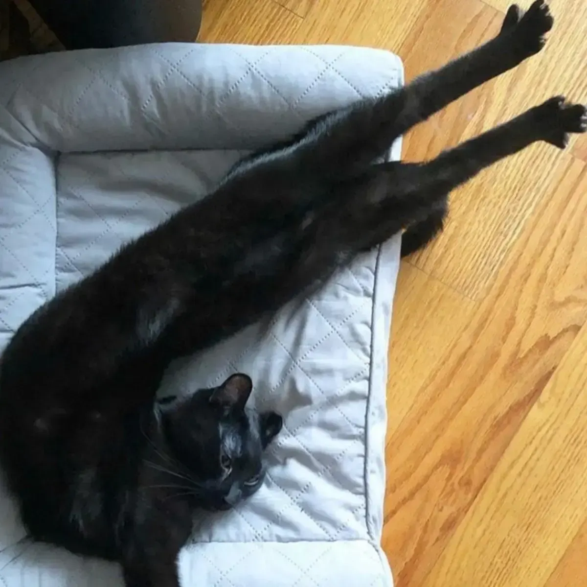 Elongated, пример 2