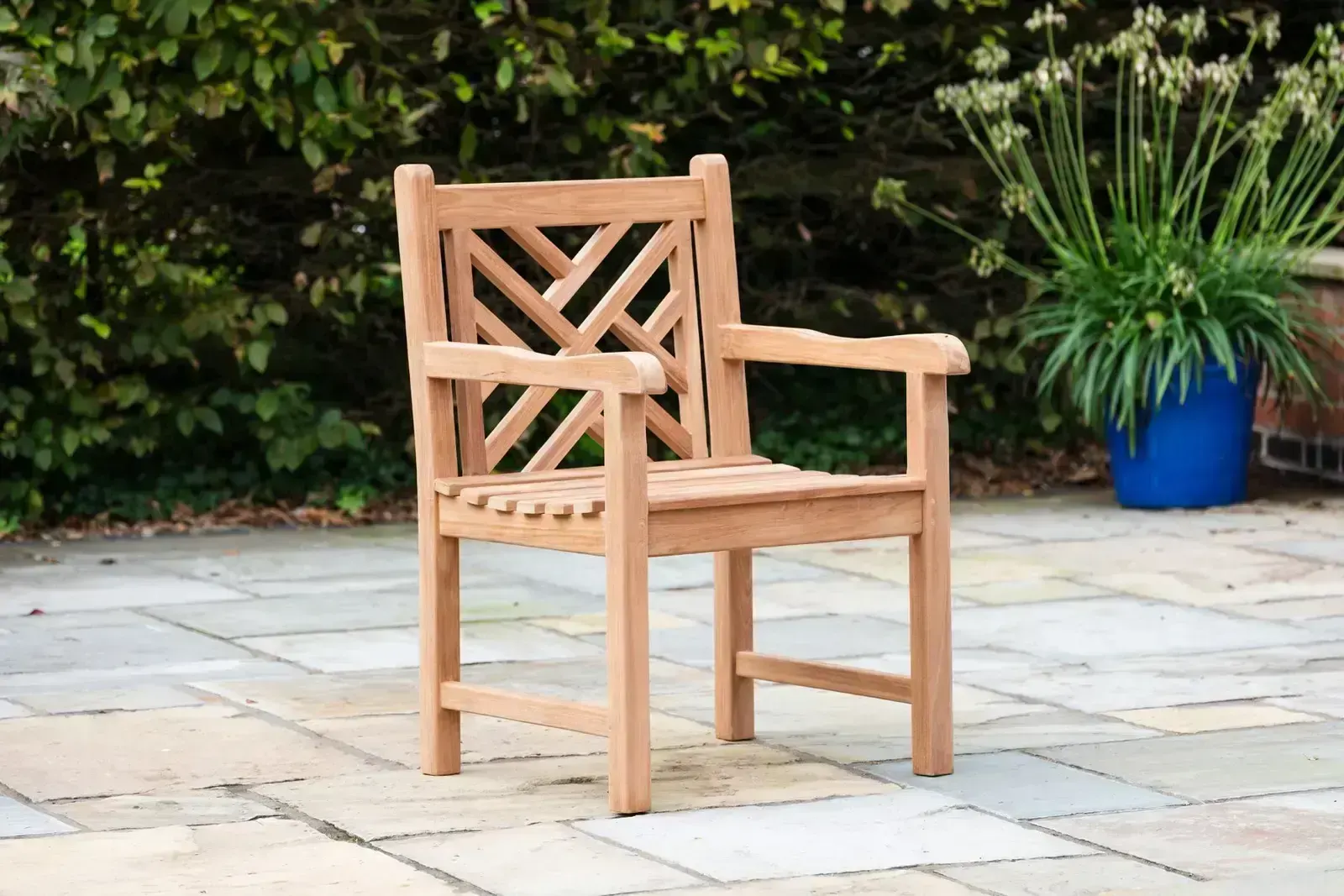 teak wood, пример 6