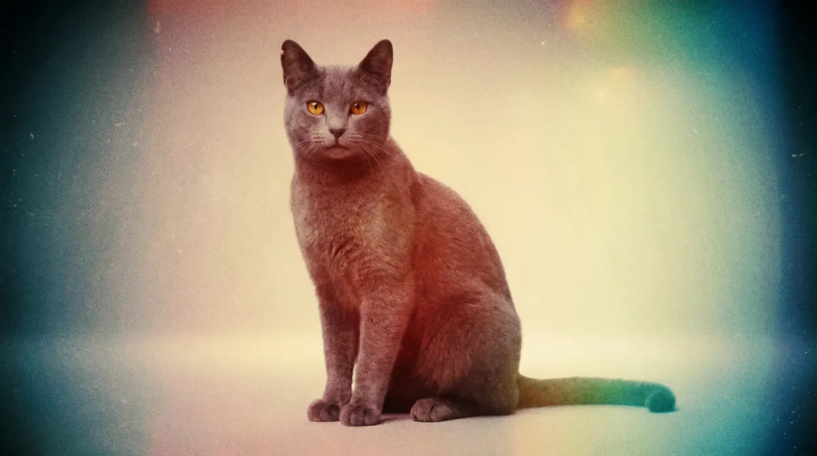 Lomography, пример 1